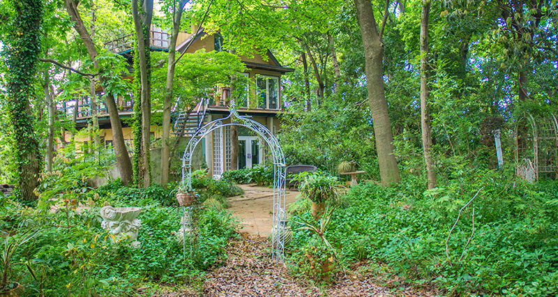 都内に近いのに森がある