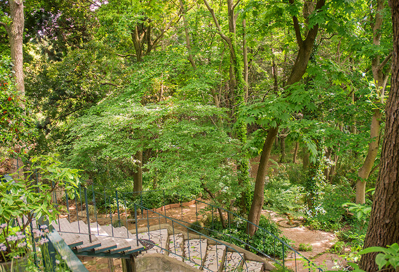 ロケバス無料で停め放題