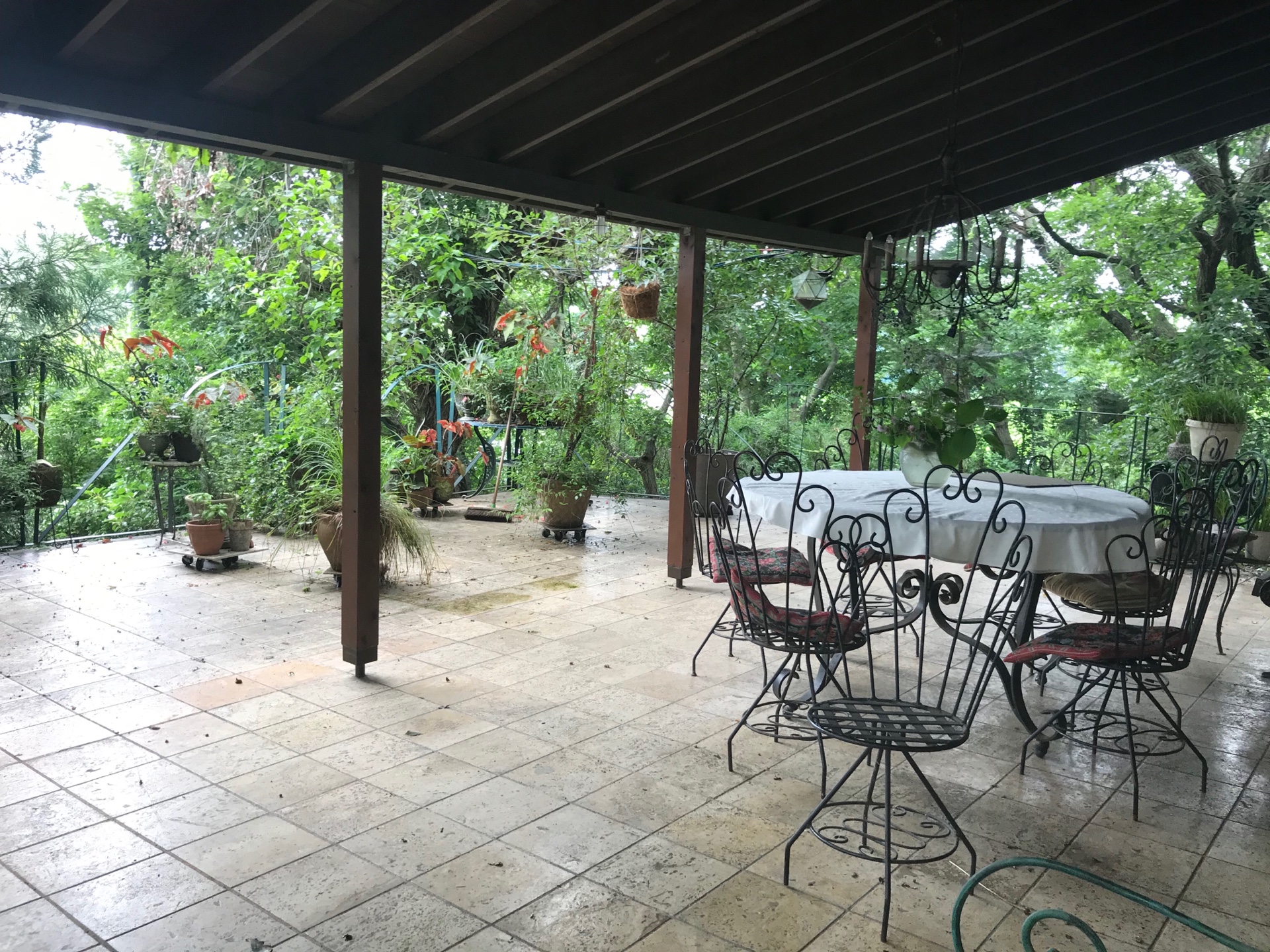 雨上がりのハウススタジオも撮影にはお勧めですよ