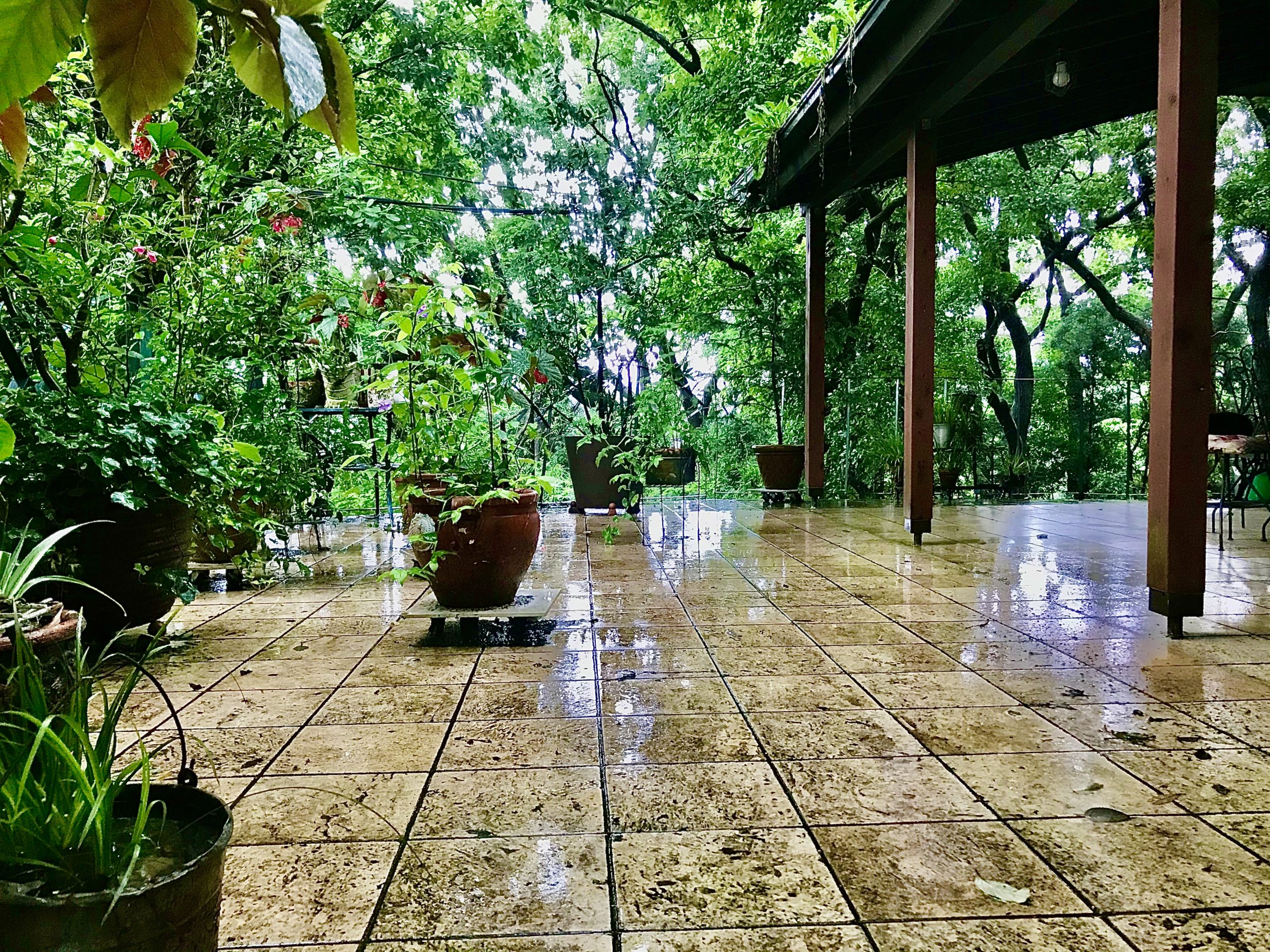 雨上がりのバルコニー