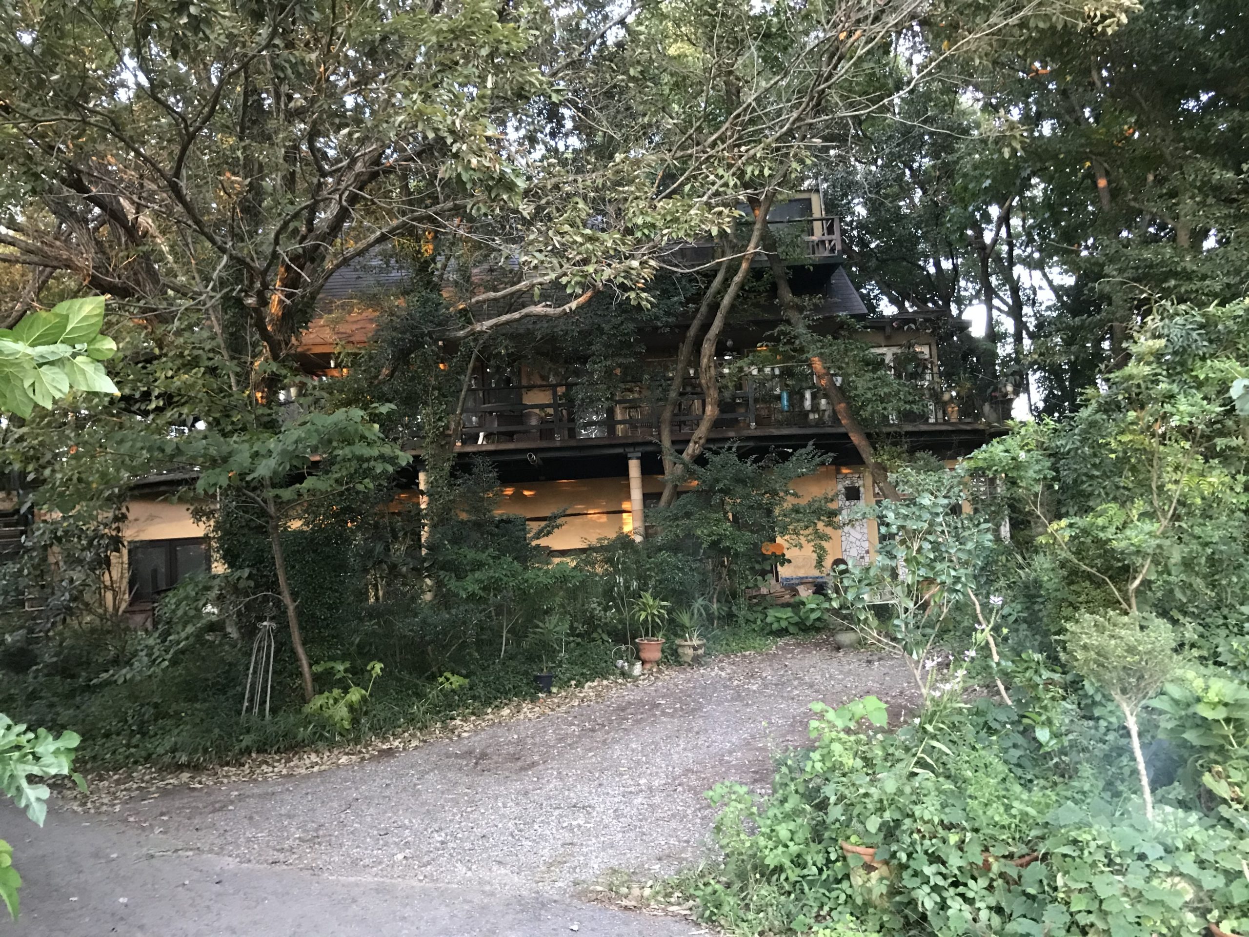 森に囲まれたスタジオ