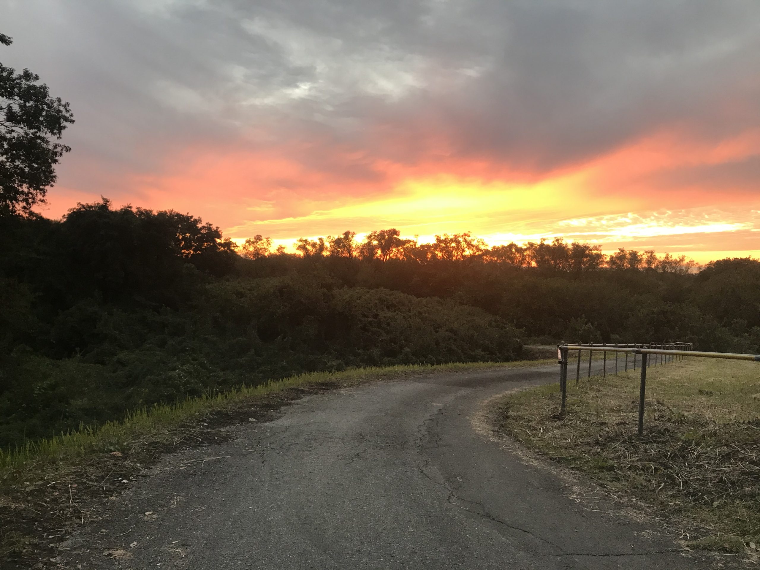 スタジオの真前の夕焼け！