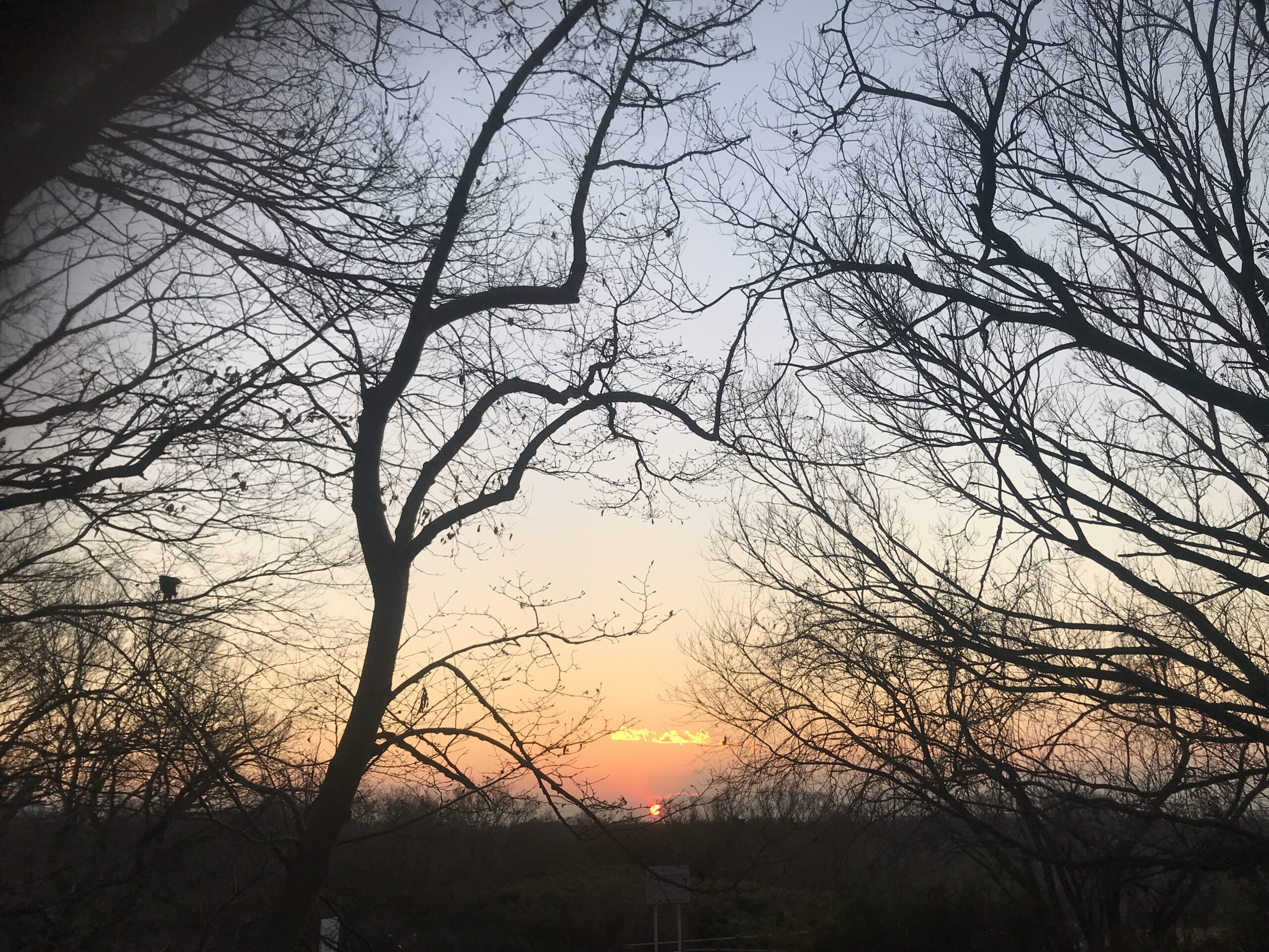 今日の夕日も美しいです。