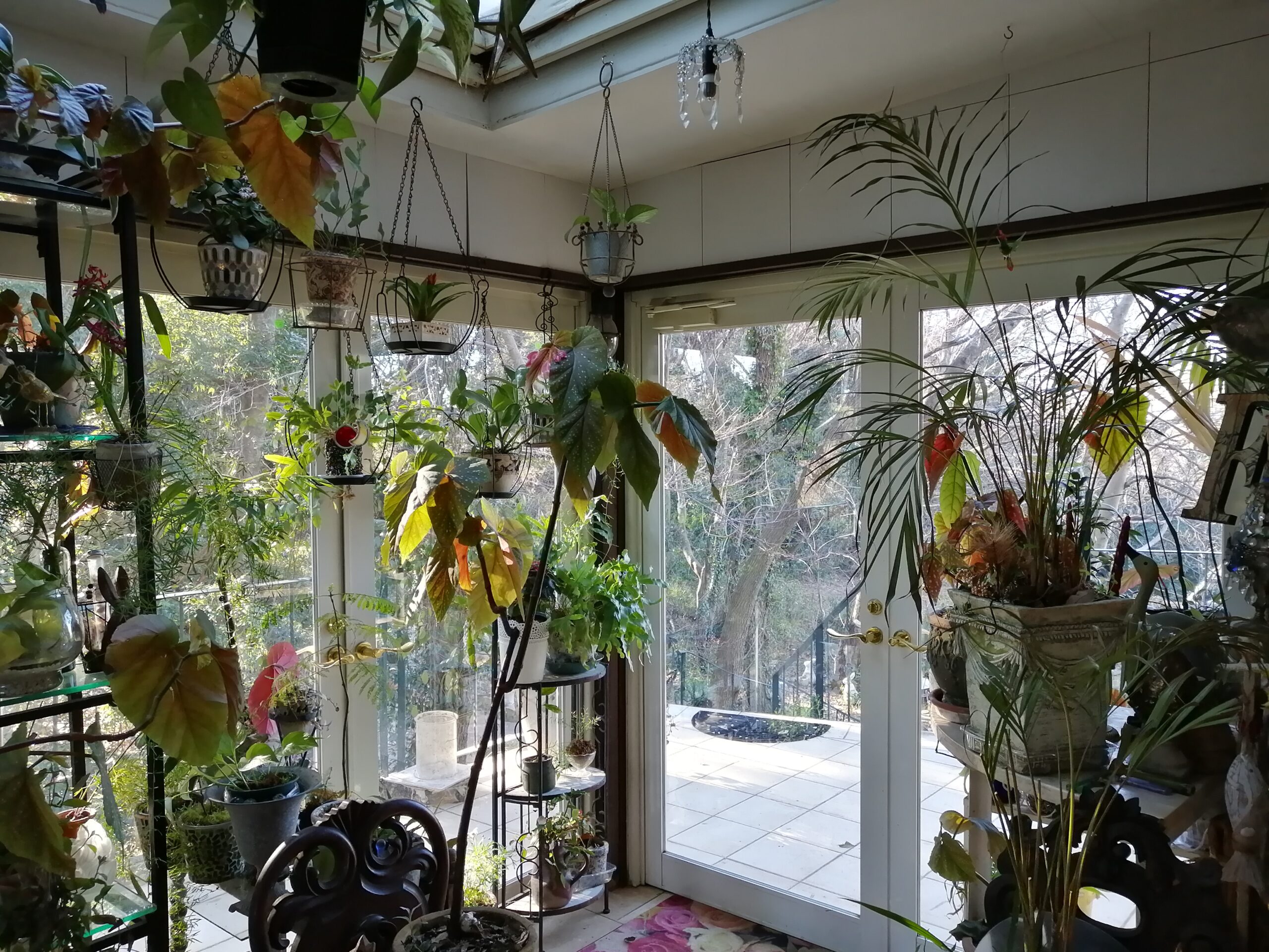 スタジオの入り口は森の景色が広がっています。