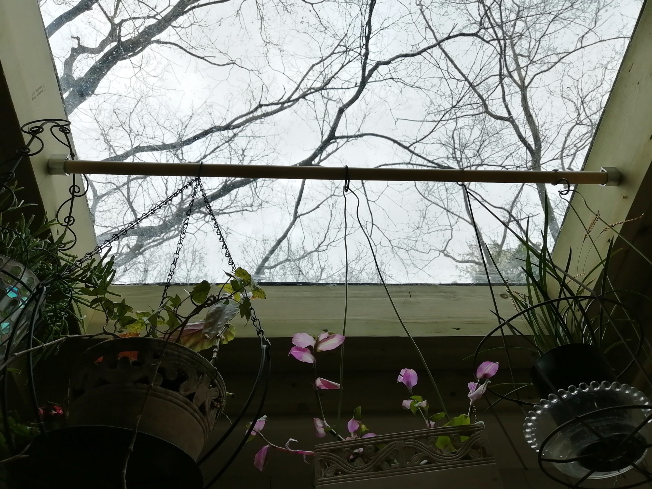 もう一つの天窓です。