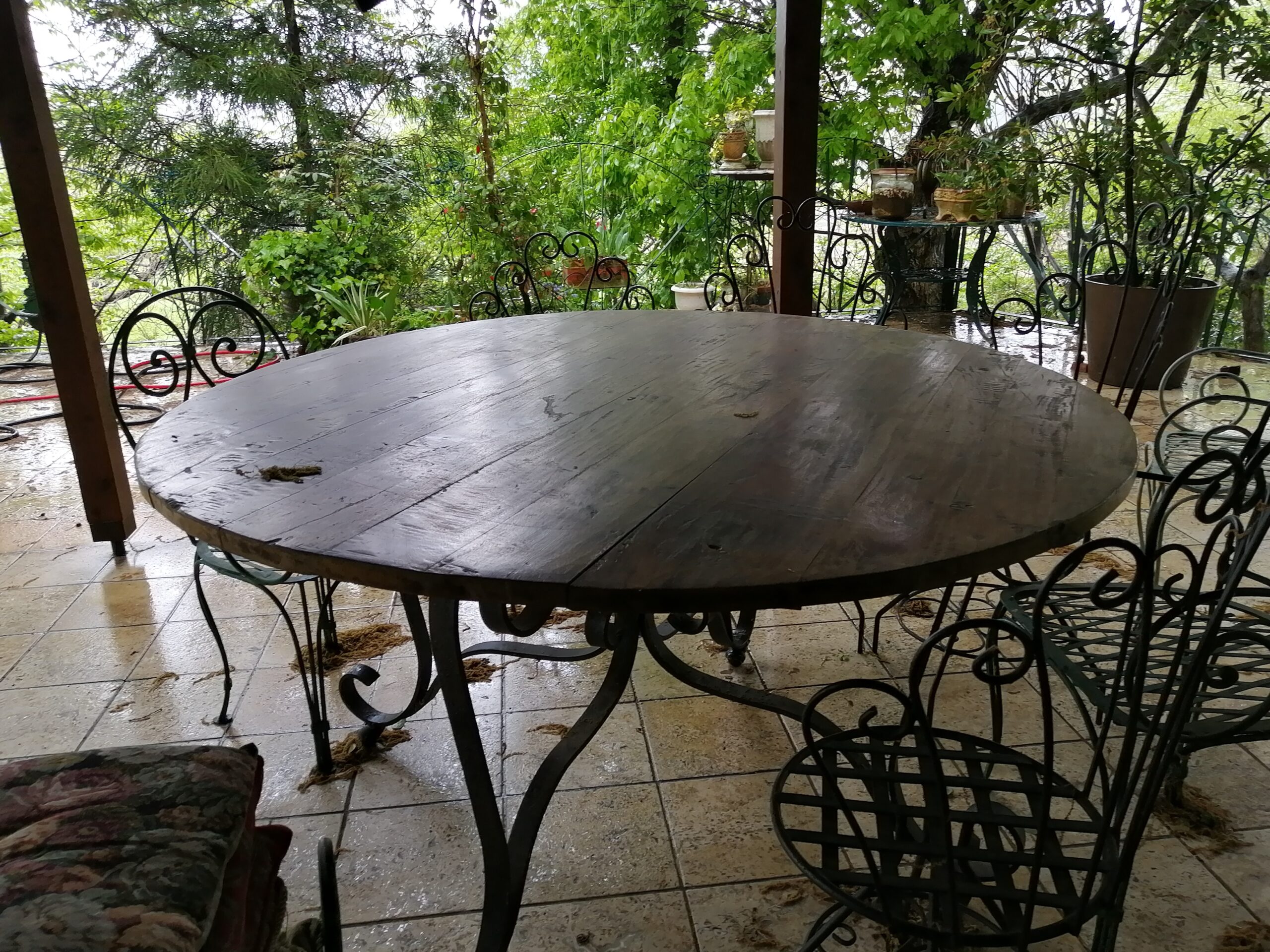 今日は雨ですが！
