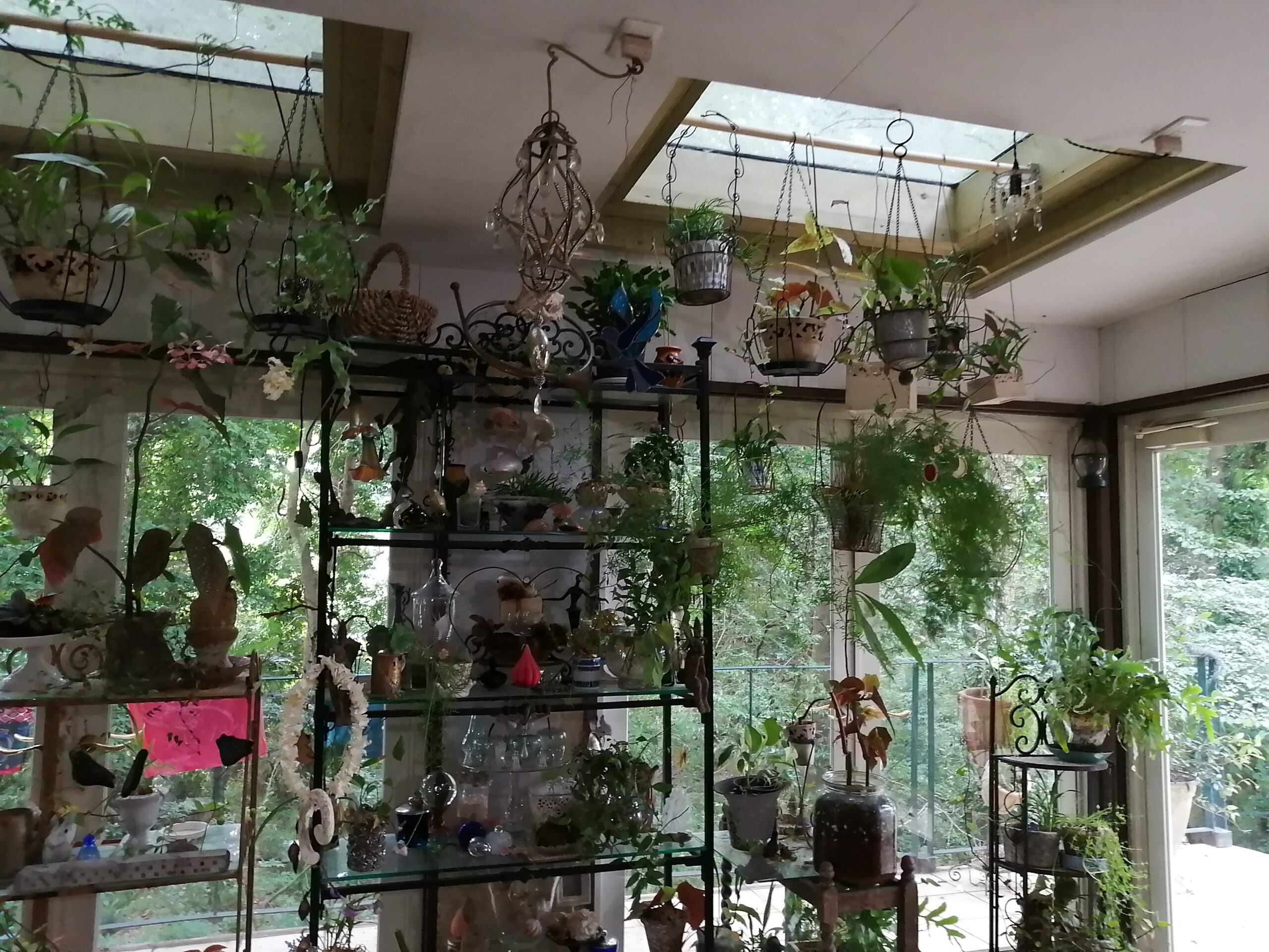 天窓のあるスタジオ