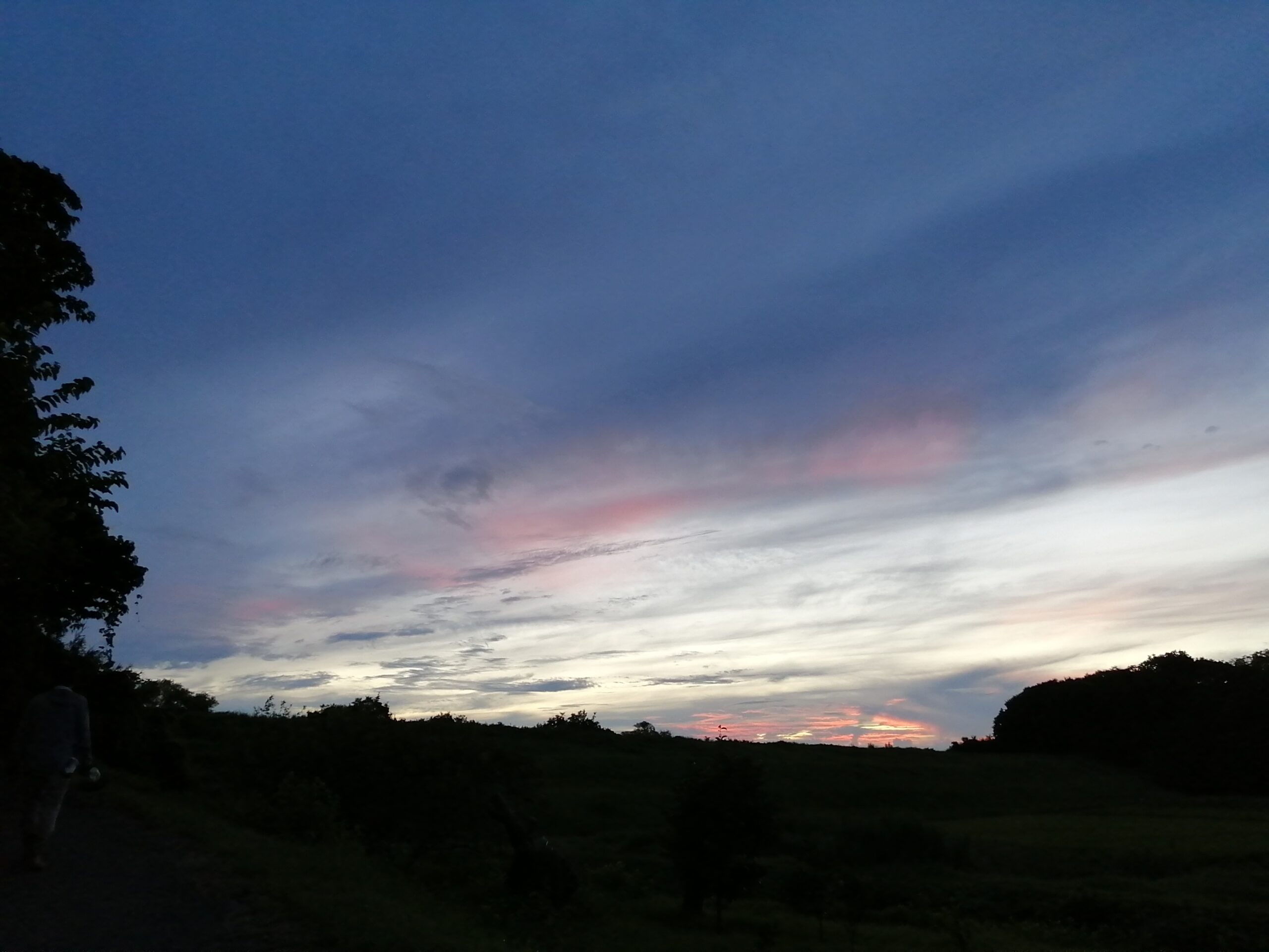 森の中の夕焼け