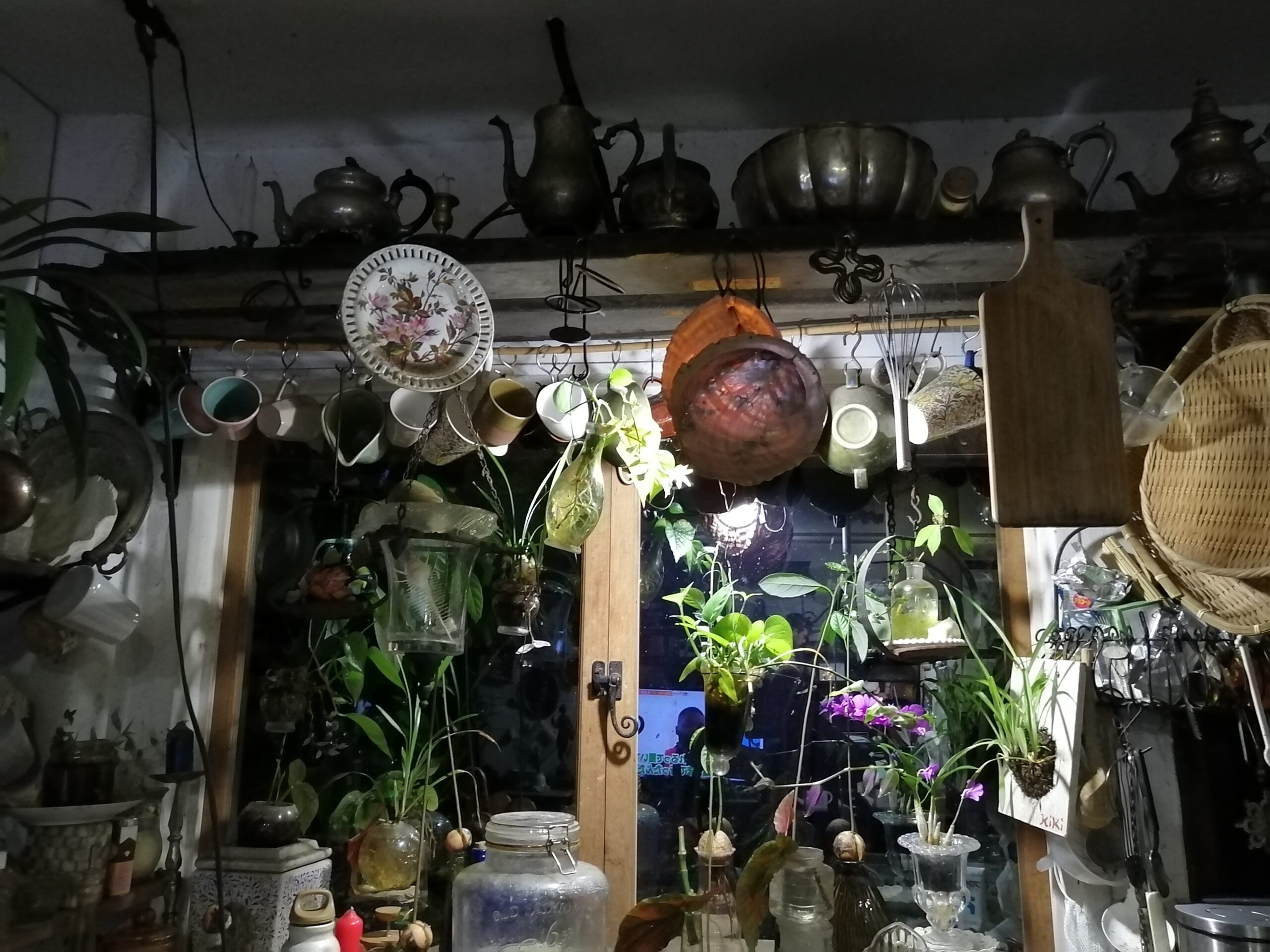 植物園のようなキッチン