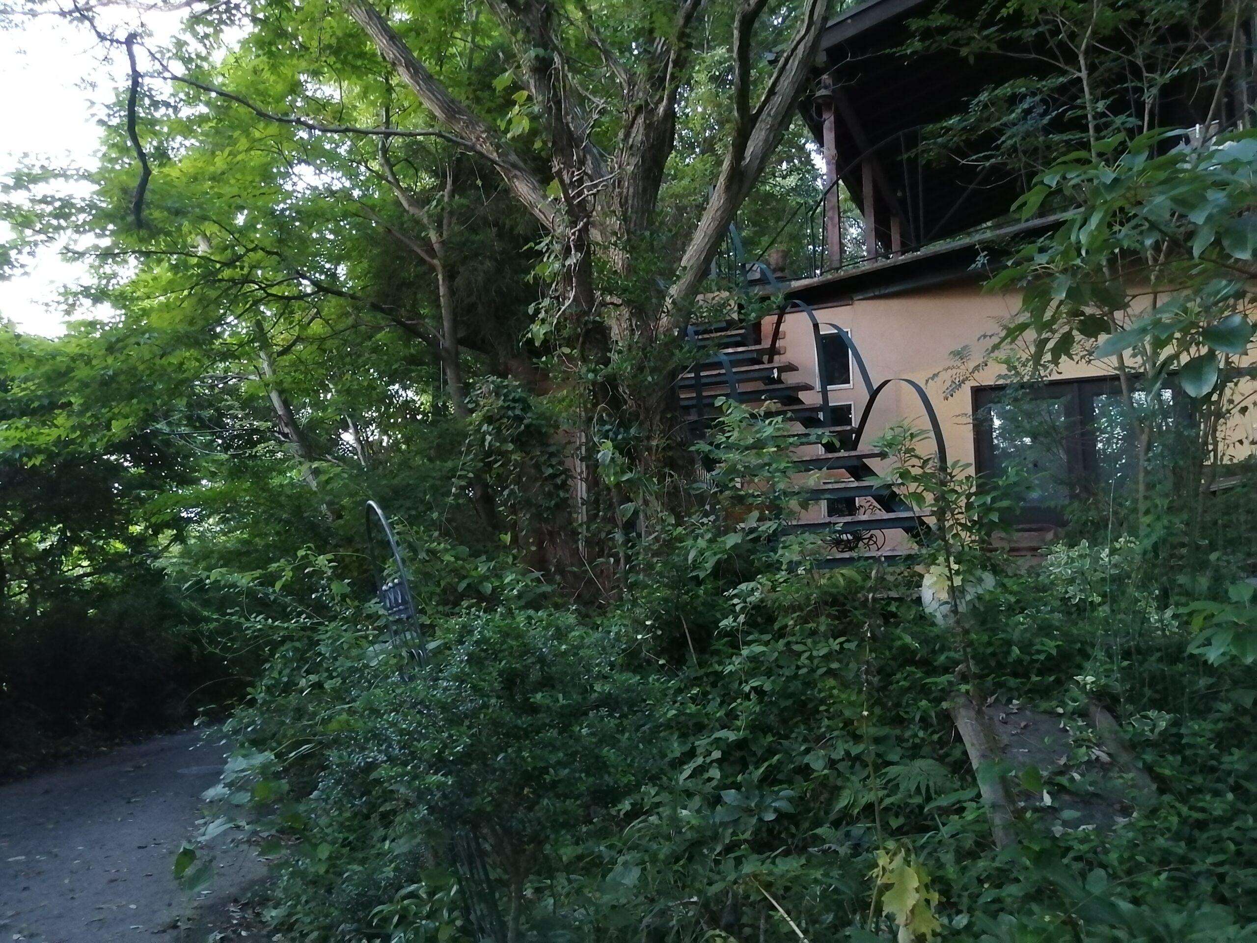 森の中の階段