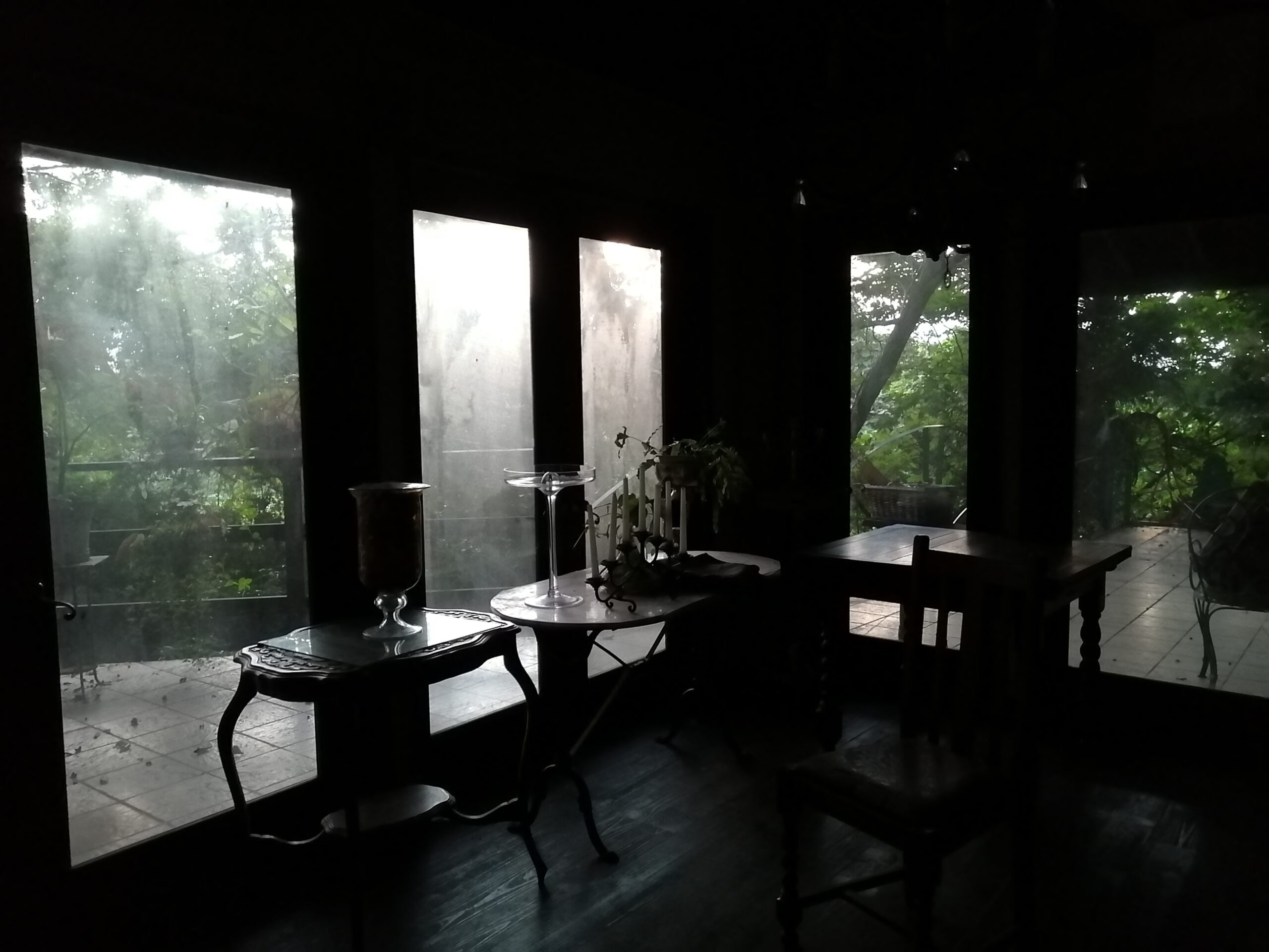 トワイライトが美しくて。