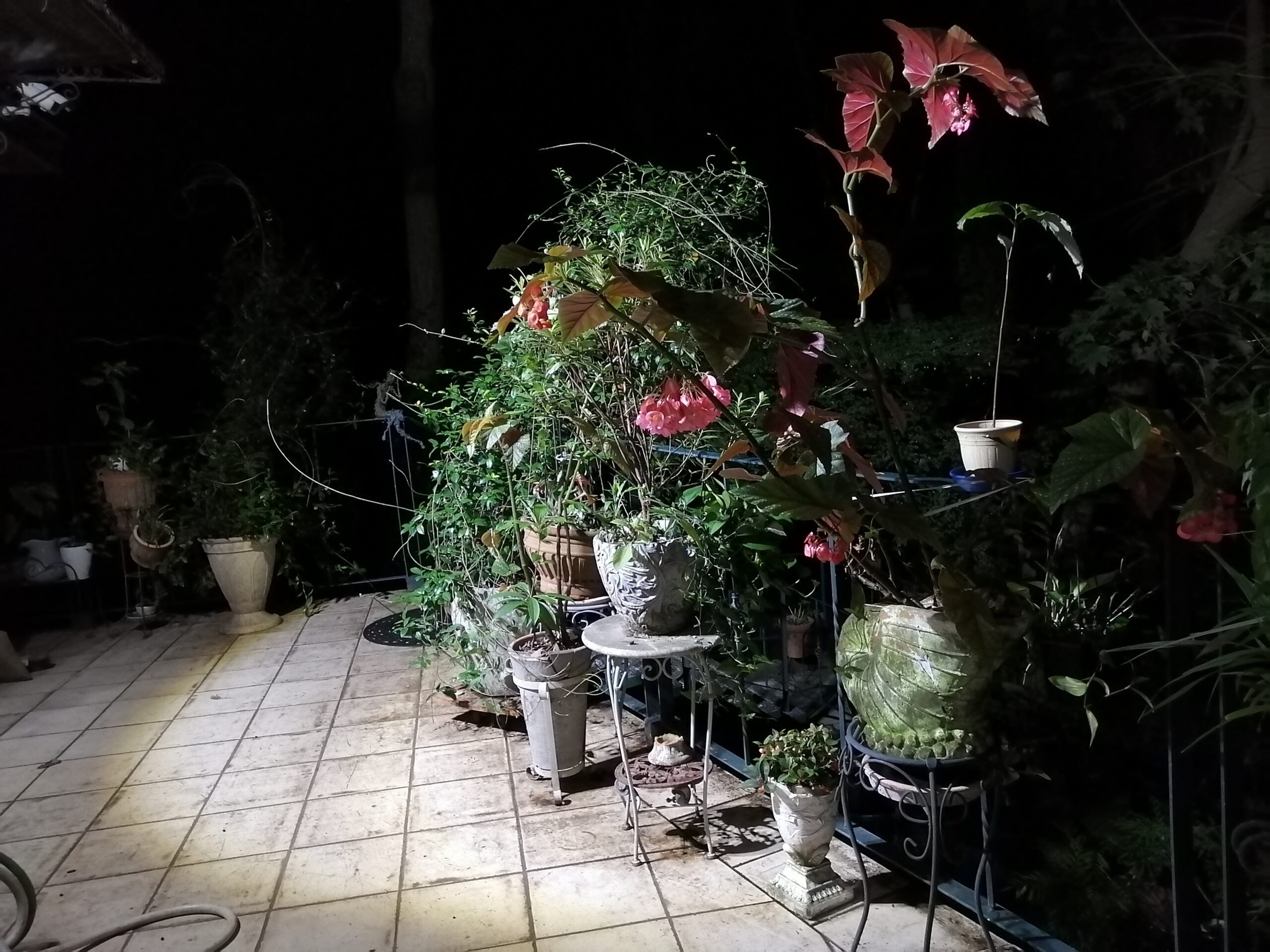 花いっぱいのバルコニー