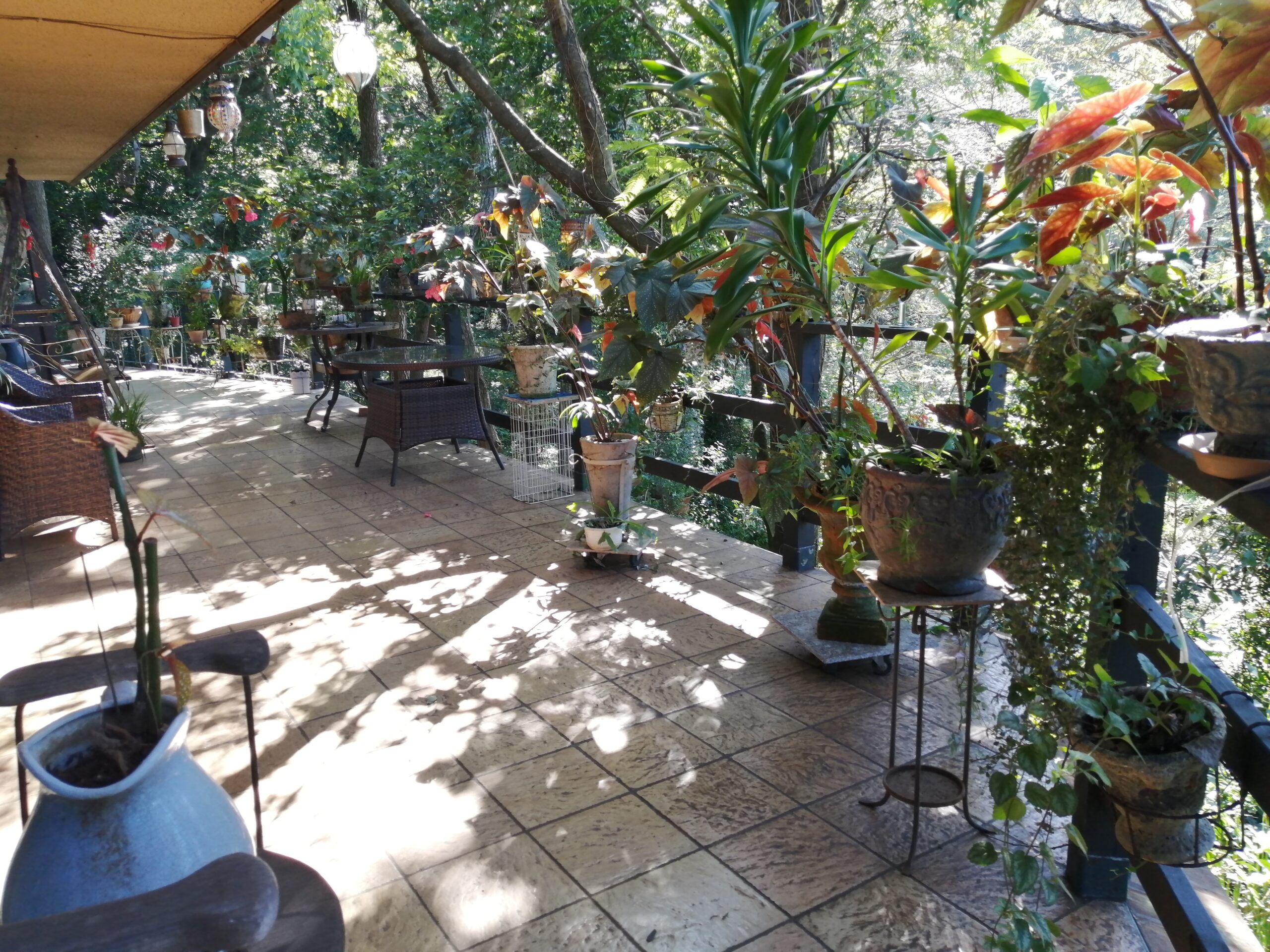 南に面したバルコニー