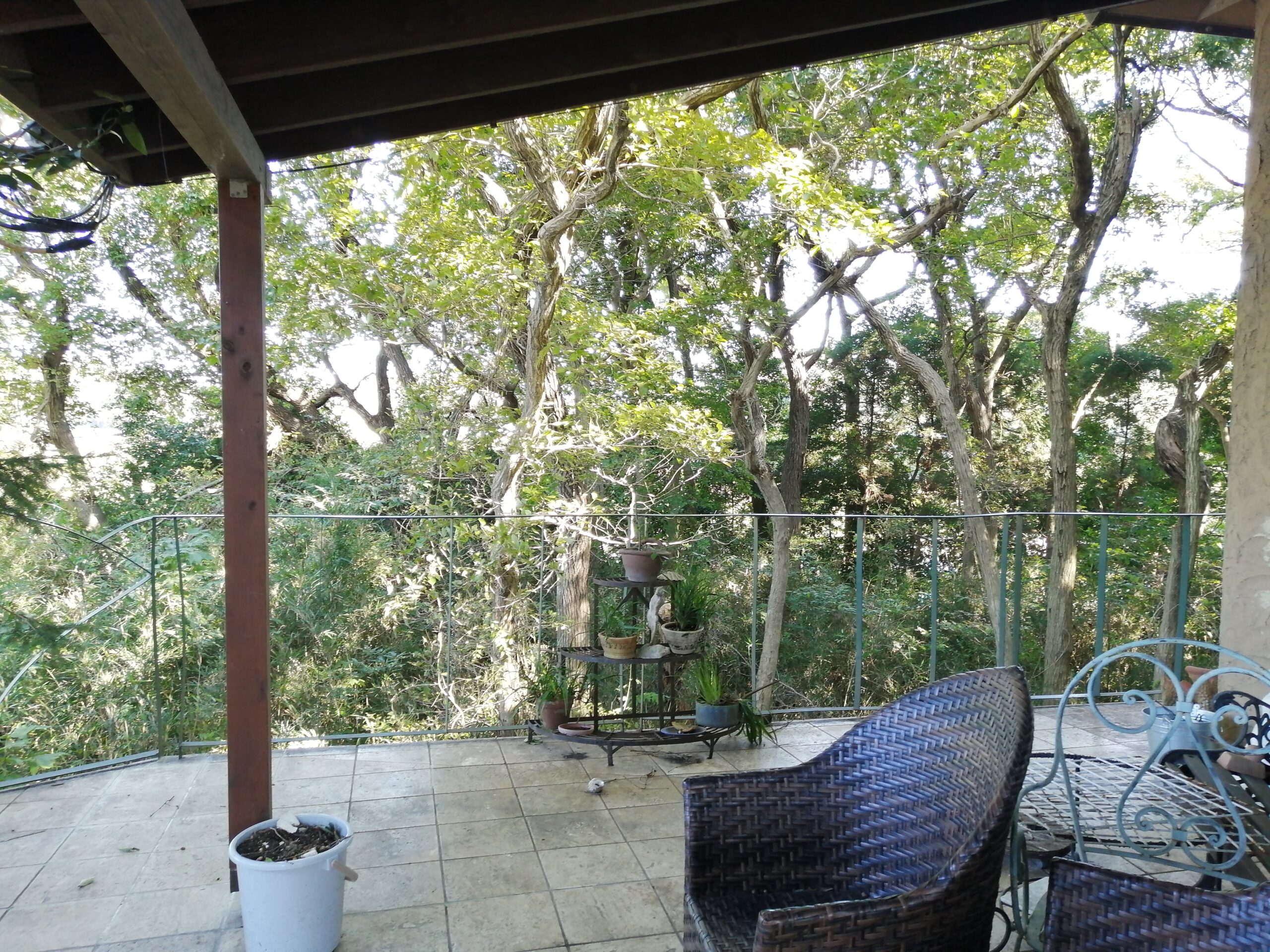 バルコニーの抜けは深い森