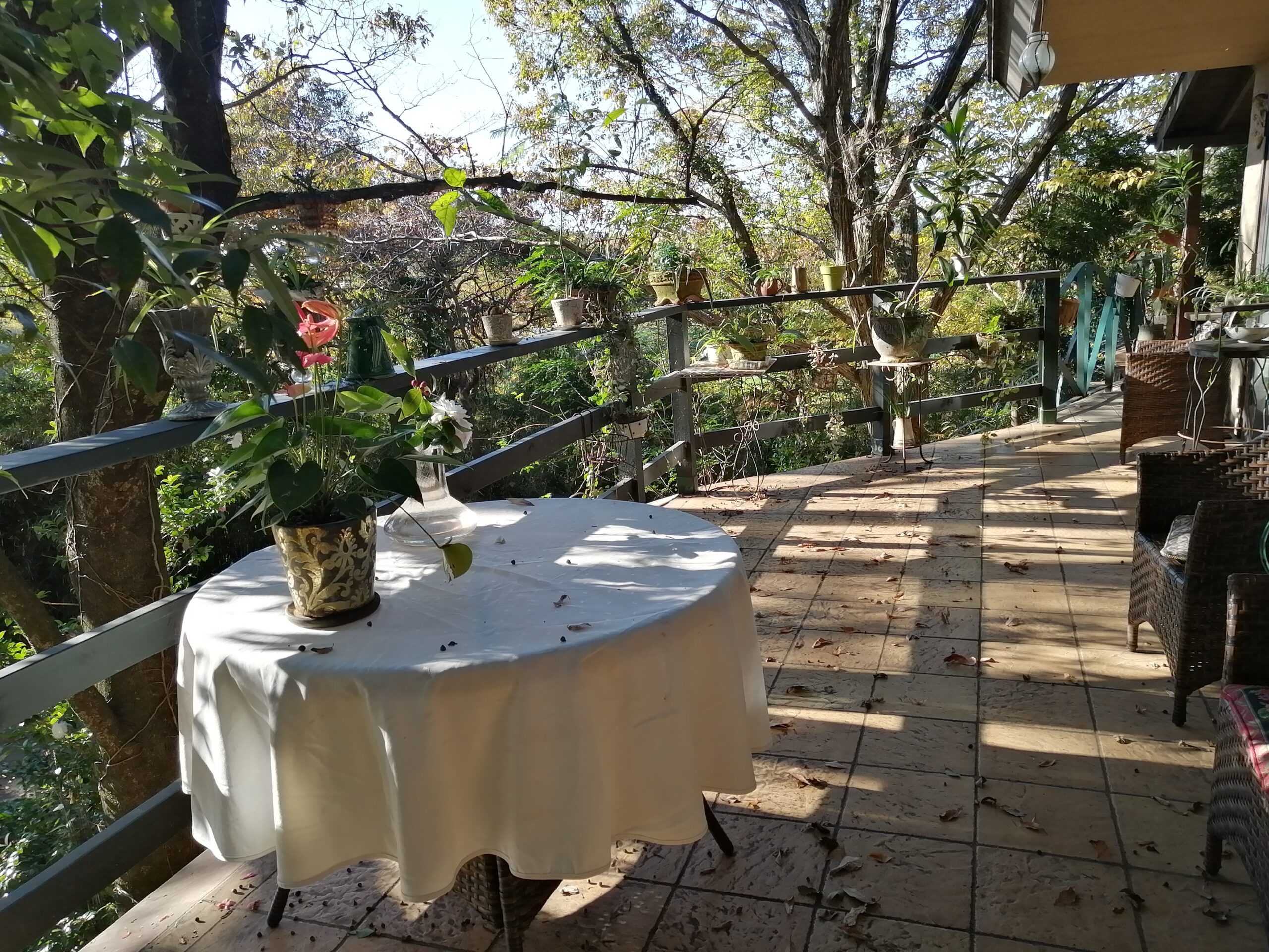 フレンチスタイル