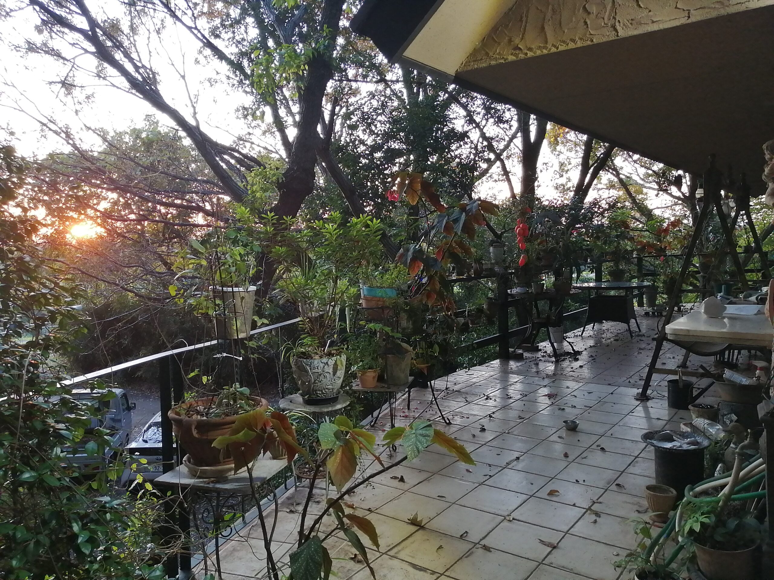 夕焼けが美しく