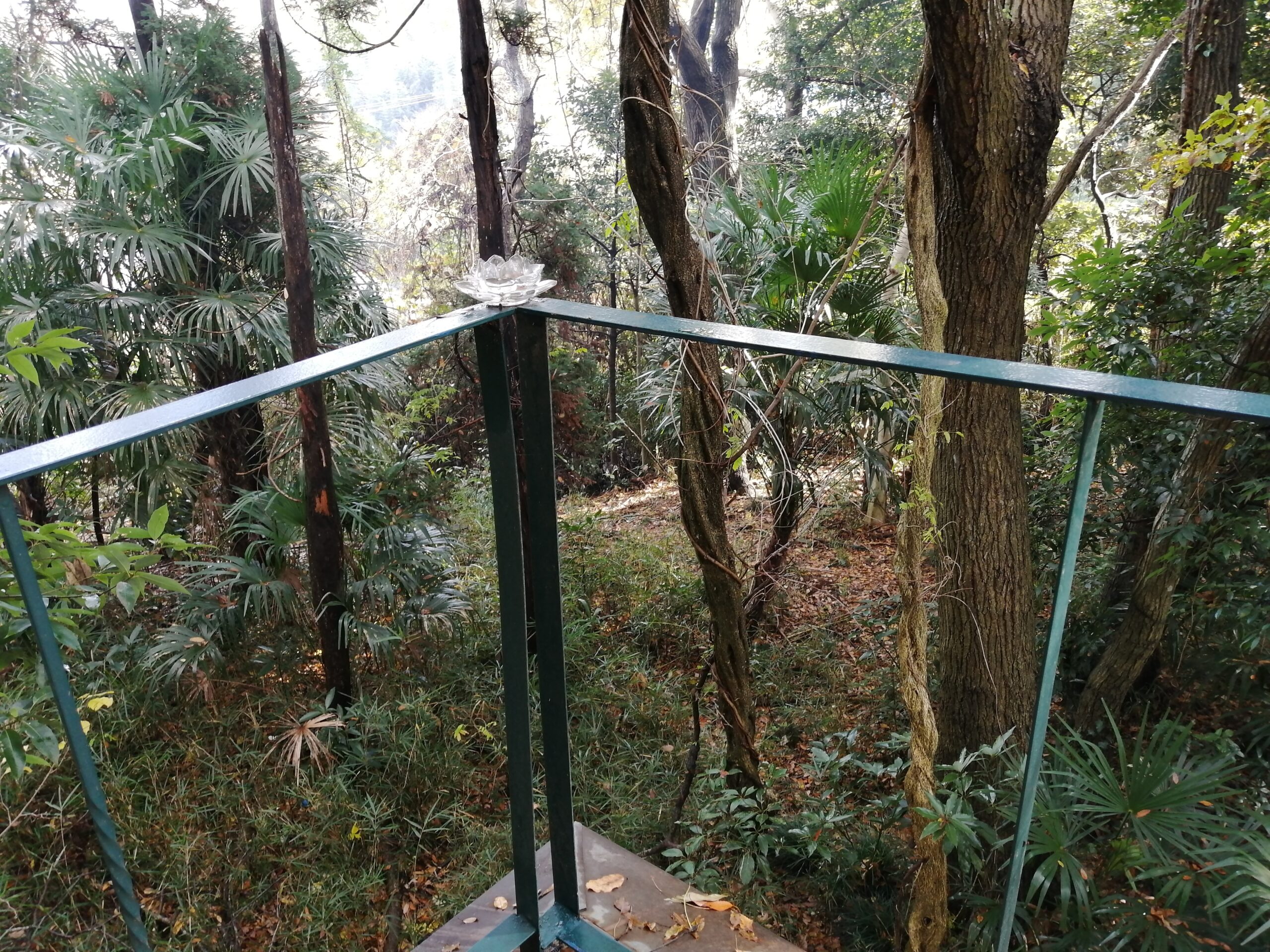 森のなかのハウススタジオ