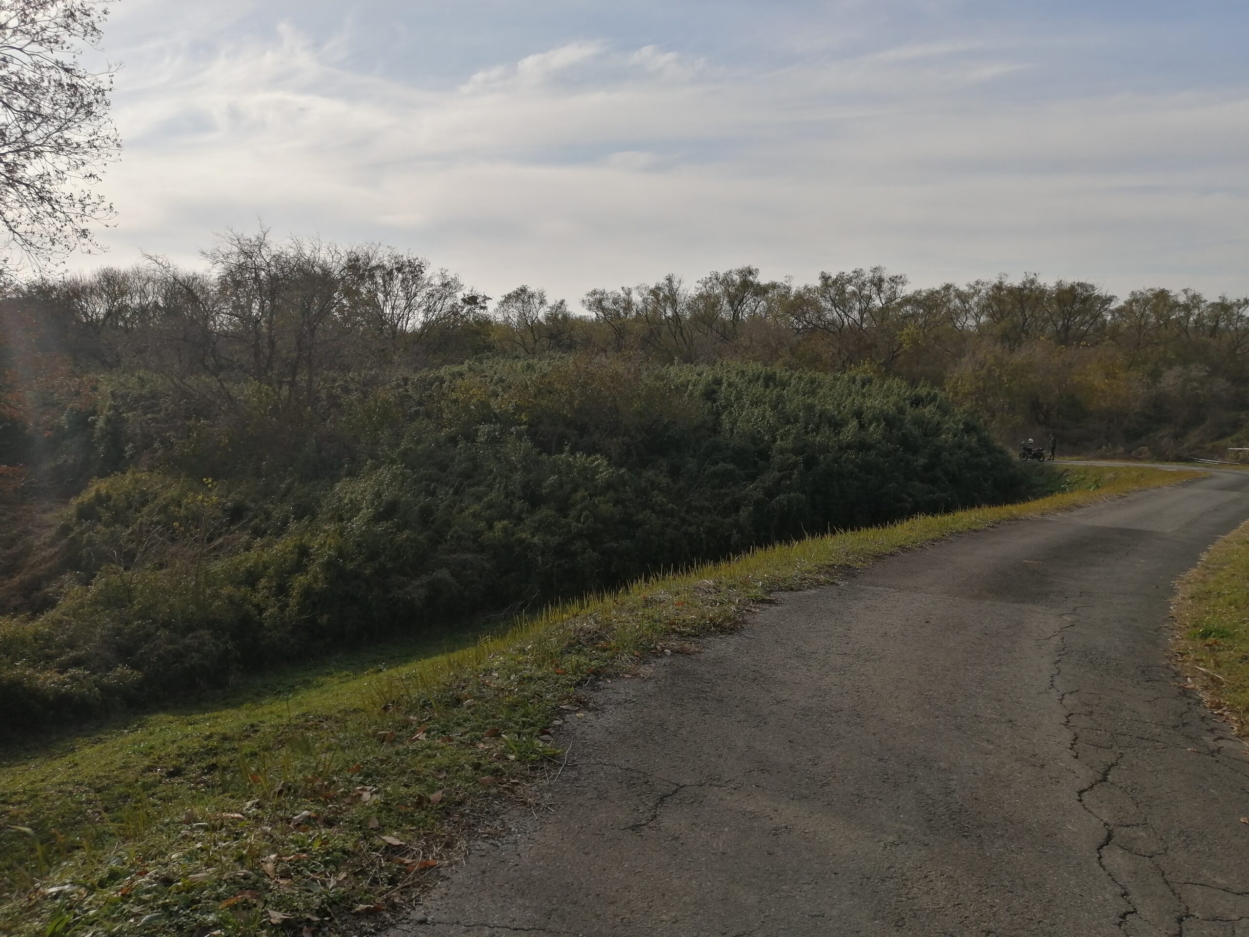 ハウススタジオの前の景色です。