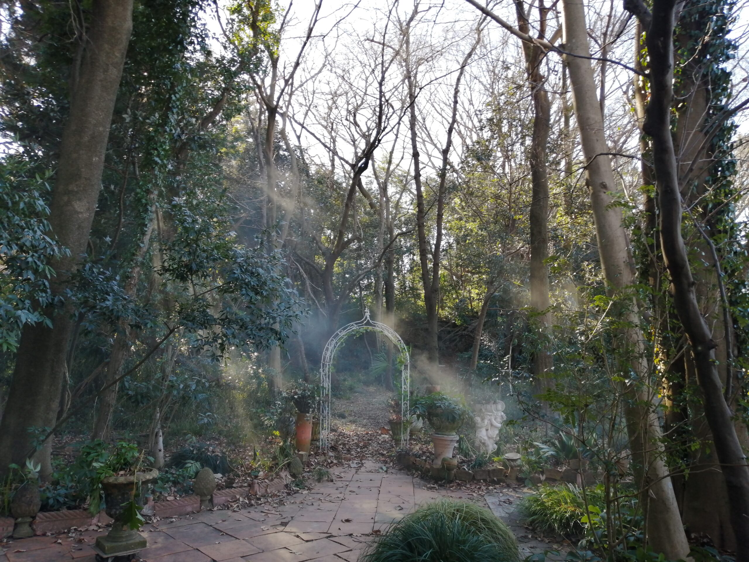 幻想的なフレンチガーデン