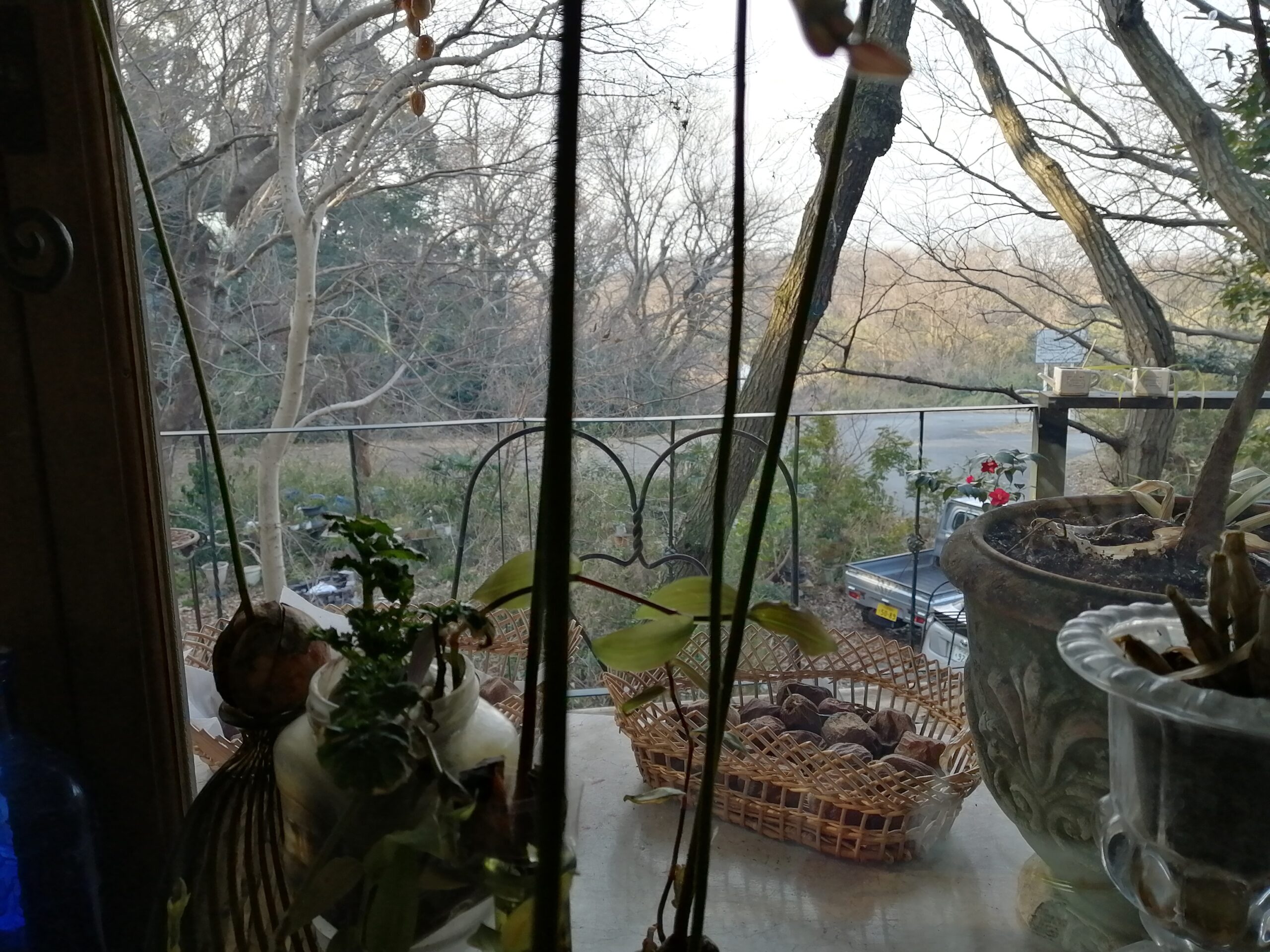 キッチンからの眺め