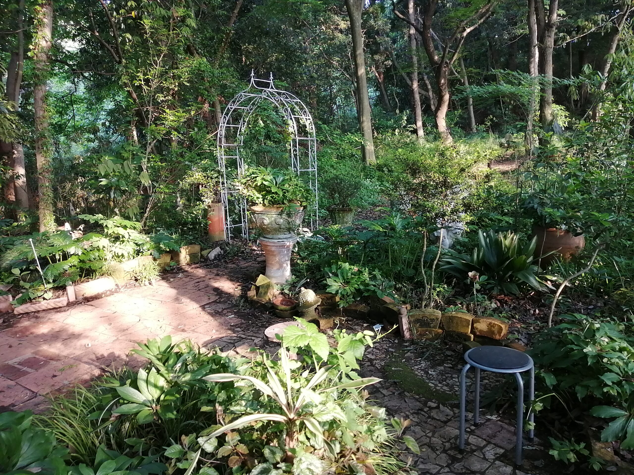 森の中のガーデン