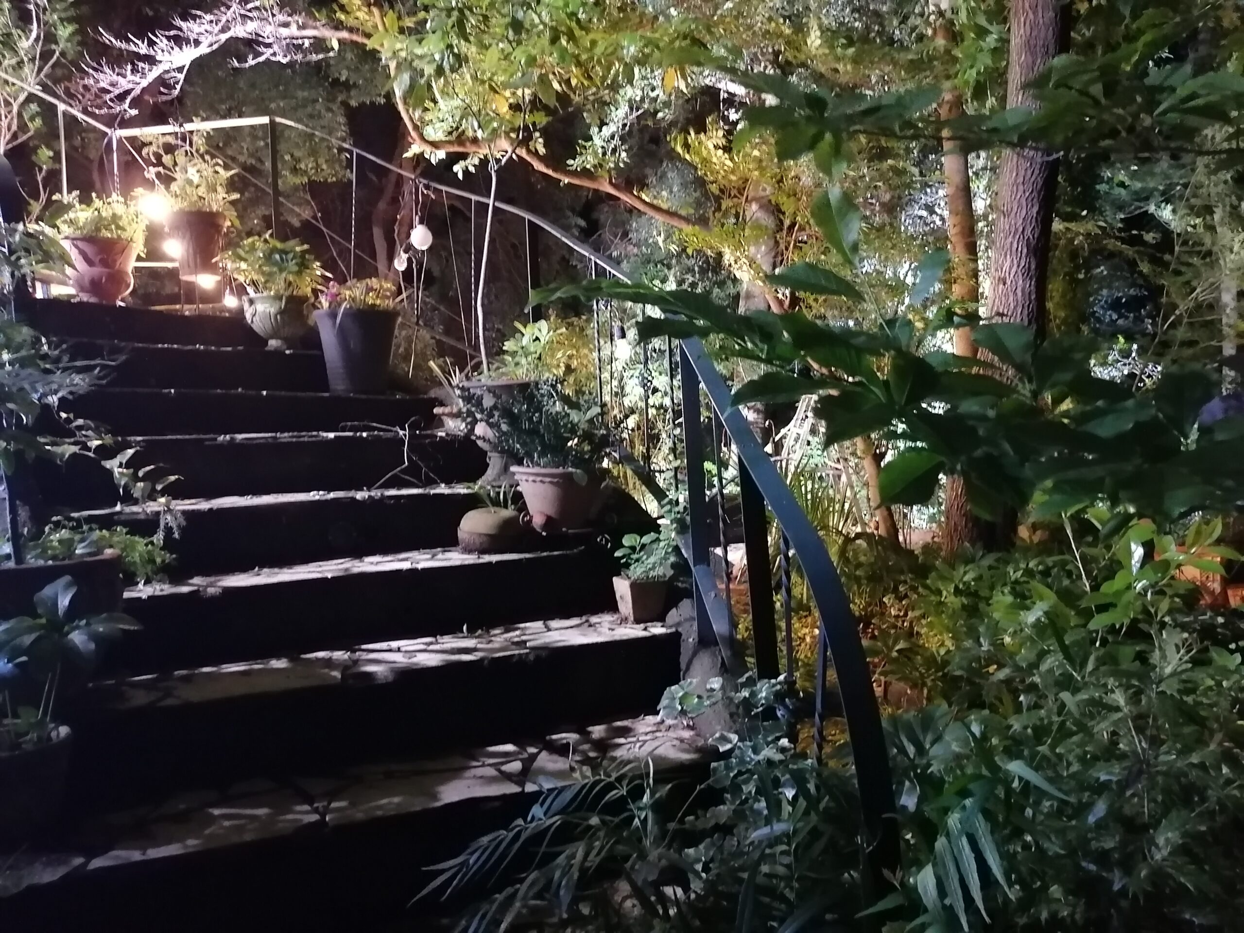 フレッドが作ったカーブのある階段