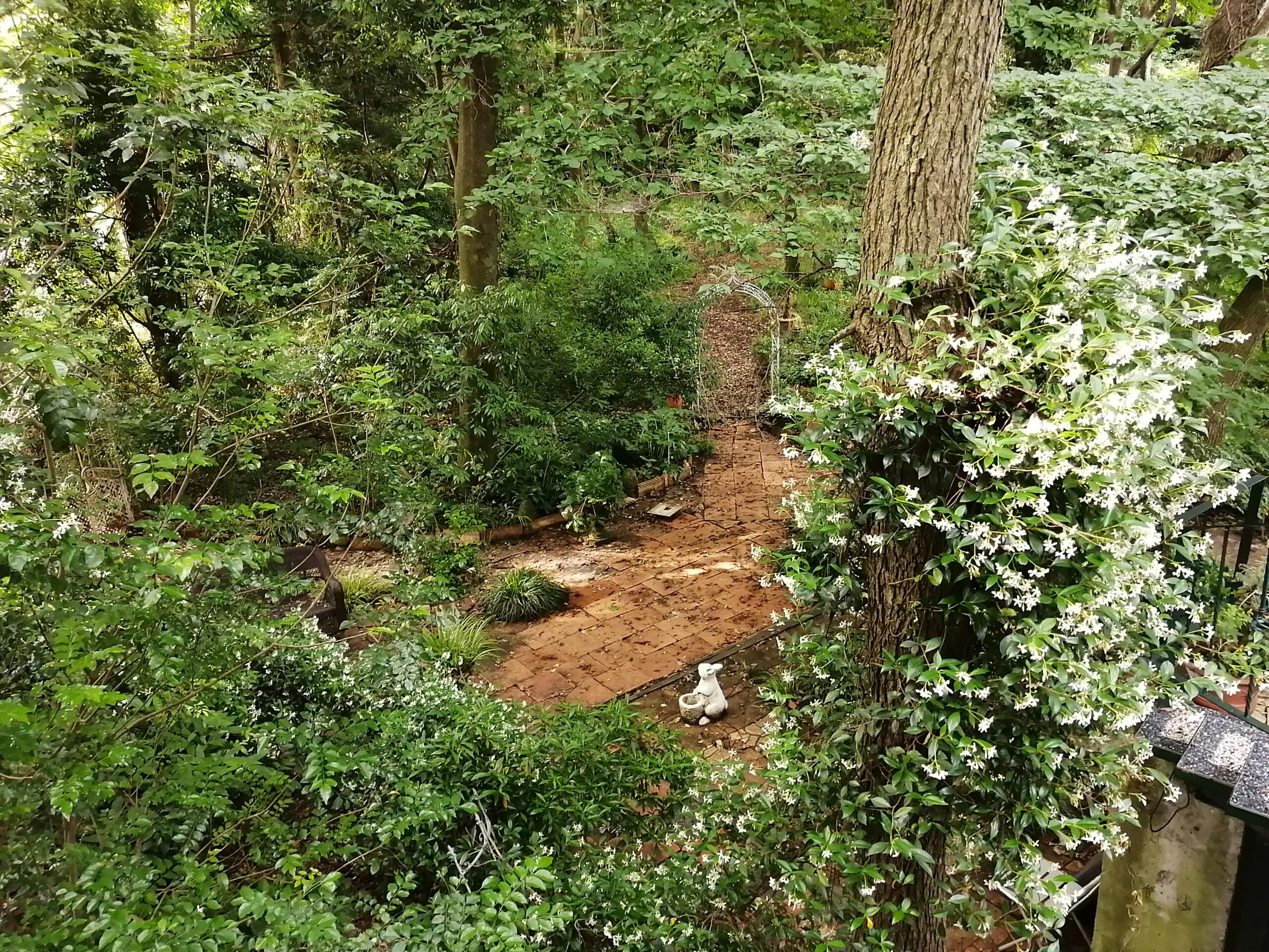 森の中のハウススタジオはジャスミンの香りです。