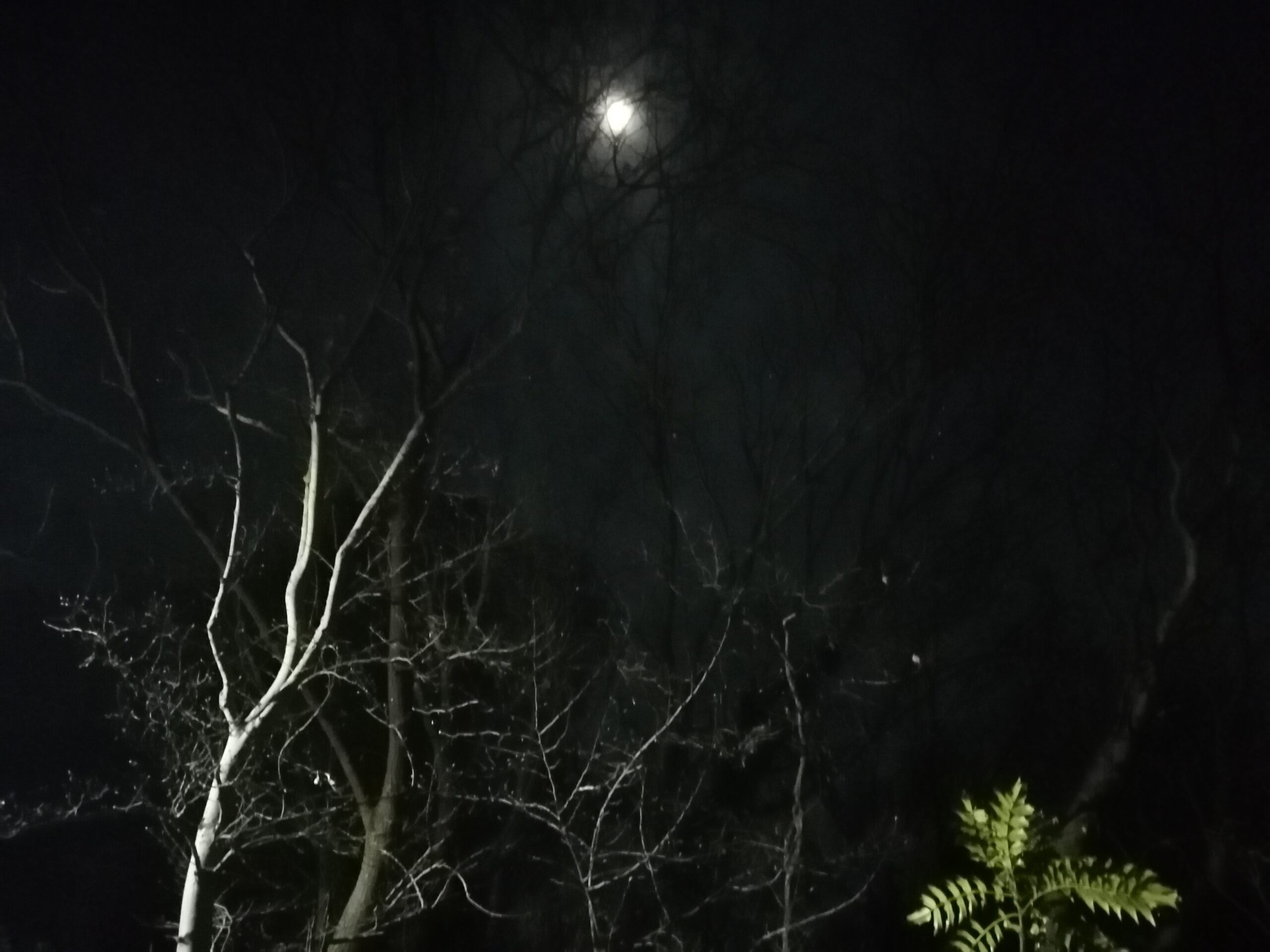 スタジオのバルコニーから幻想的な月が見えます。